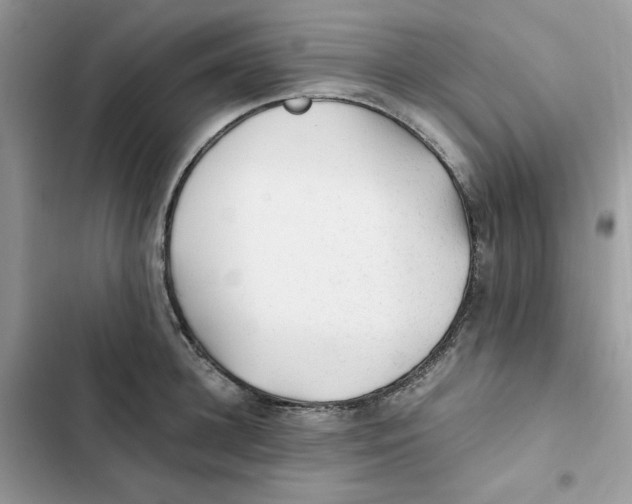 X0000101950948200808151250