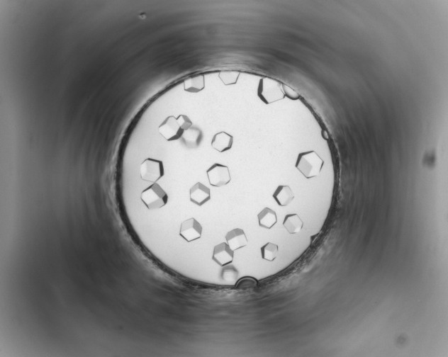 X0000101950949200808151250