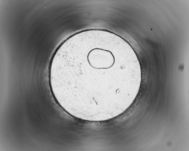 X0000101950950200808151250
