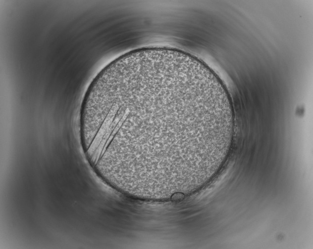 X0000101950951200808151250