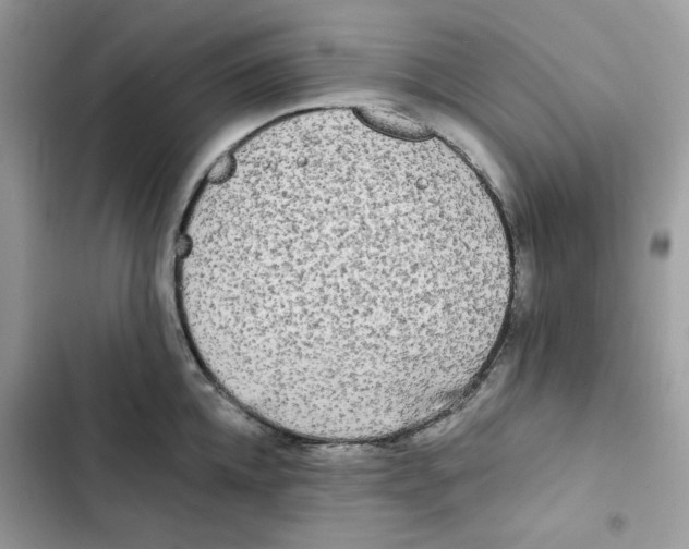 X0000101950952200808151250