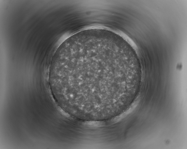 X0000101950953200808151250