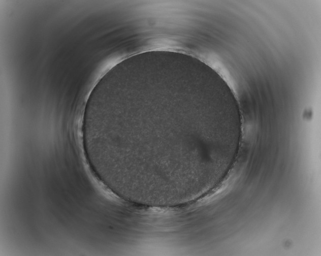X0000101950954200808151250