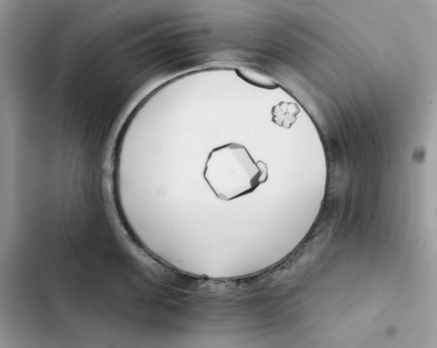 X0000101950955200808151250