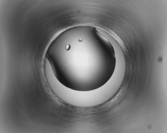 X0000101950956200808151250