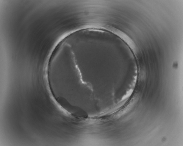 X0000101950958200808151250