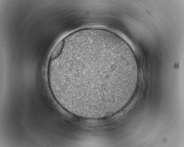 X0000101950959200808151250