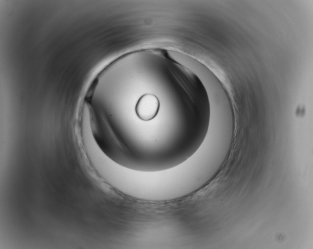 X0000101950960200808151250