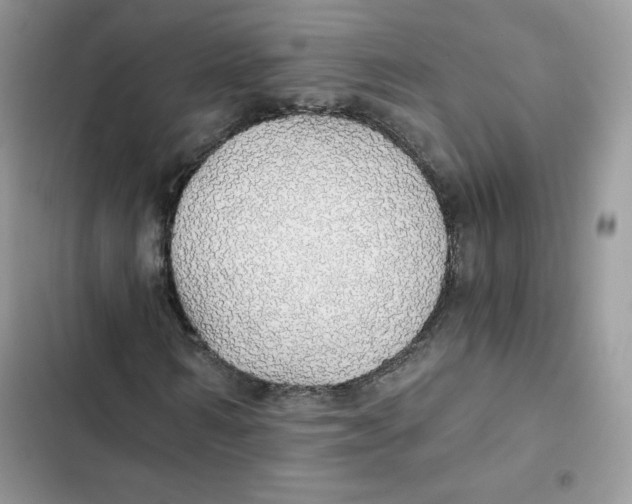 X0000101950962200808151249