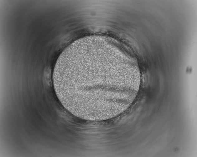 X0000101950963200808151249
