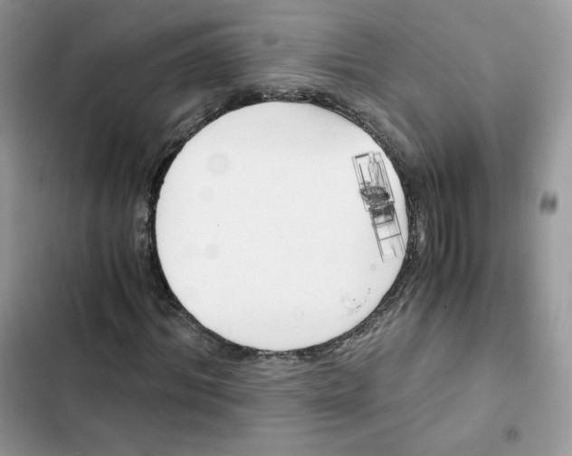 X0000101950964200808151249