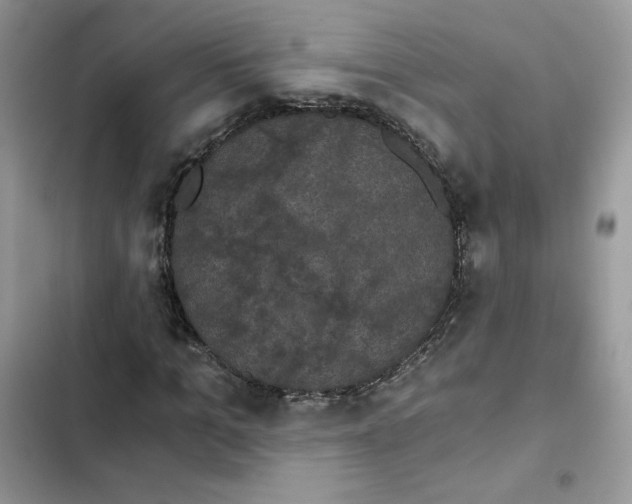 X0000101950965200808151249