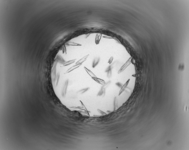 X0000101950967200808151249