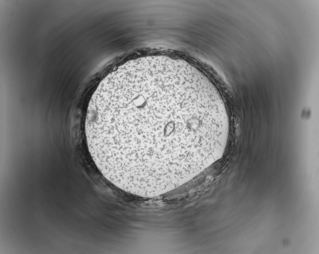 X0000101950968200808151249