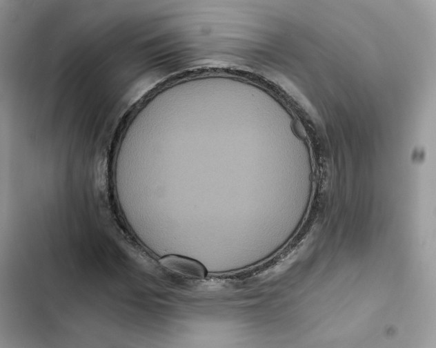 X0000101950969200808151249