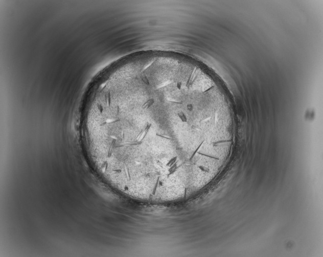 X0000101950971200808151249