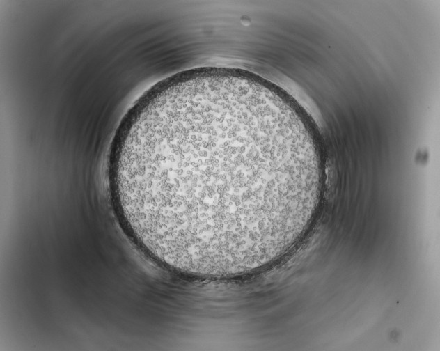 X0000101950972200808151249