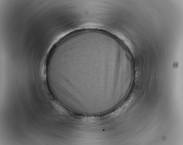 X0000101950973200808151249