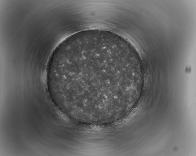 X0000101950975200808151249
