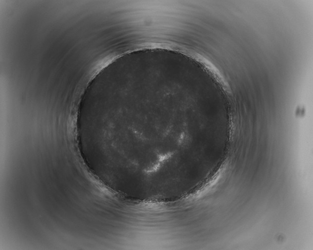 X0000101950977200808151249