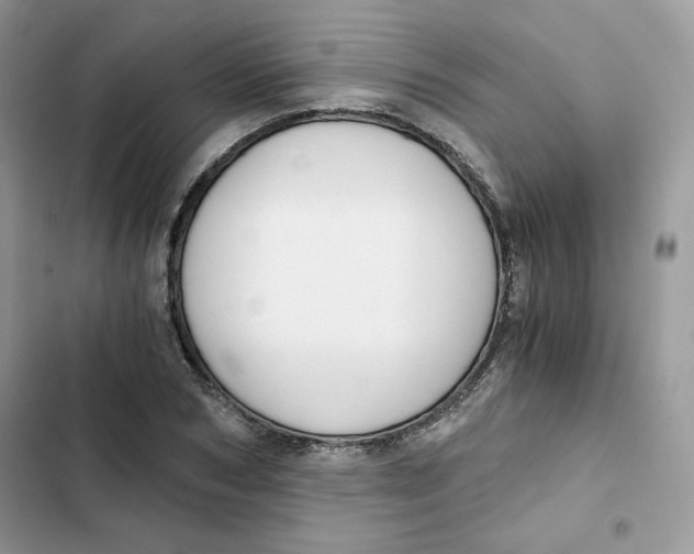 X0000101950978200808151249