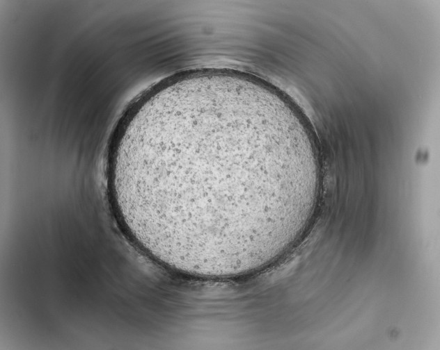 X0000101950979200808151249