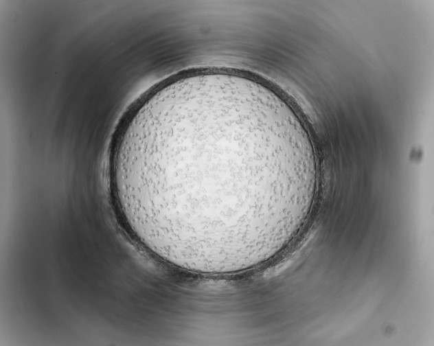 X0000101950982200808151249