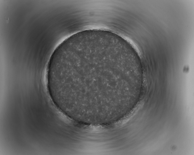 X0000101950983200808151249