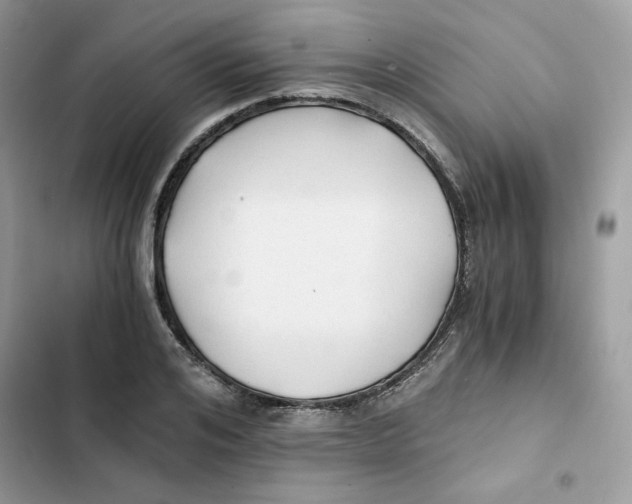 X0000101950984200808151249
