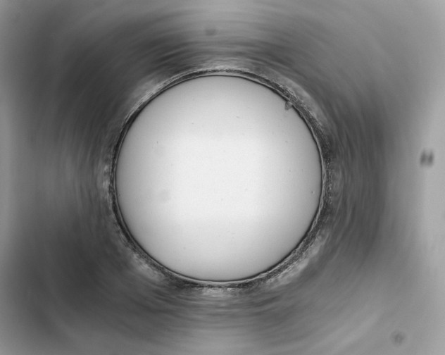 X0000101950985200808151249