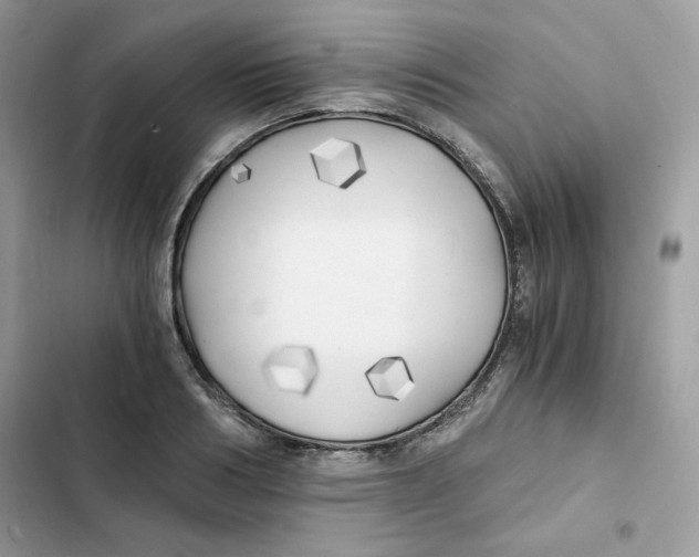 X0000101950986200808151249