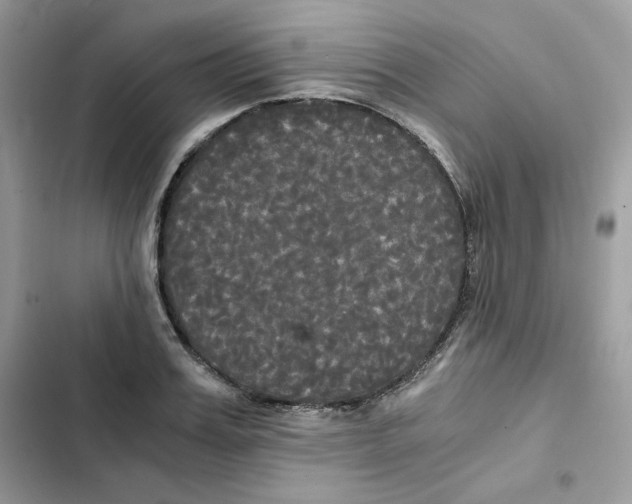 X0000101950987200808151249