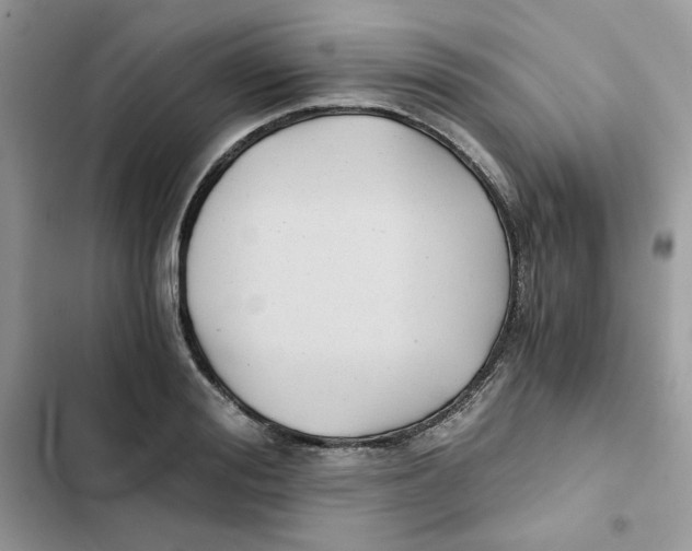 X0000101950988200808151249