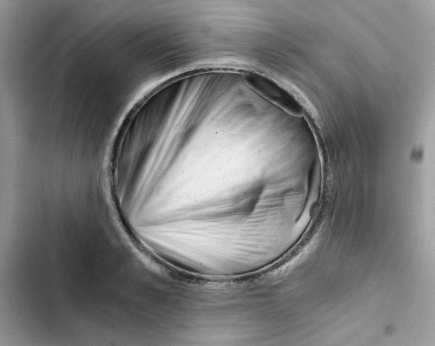 X0000101950989200808151249
