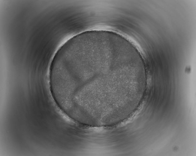 X0000101950990200808151249