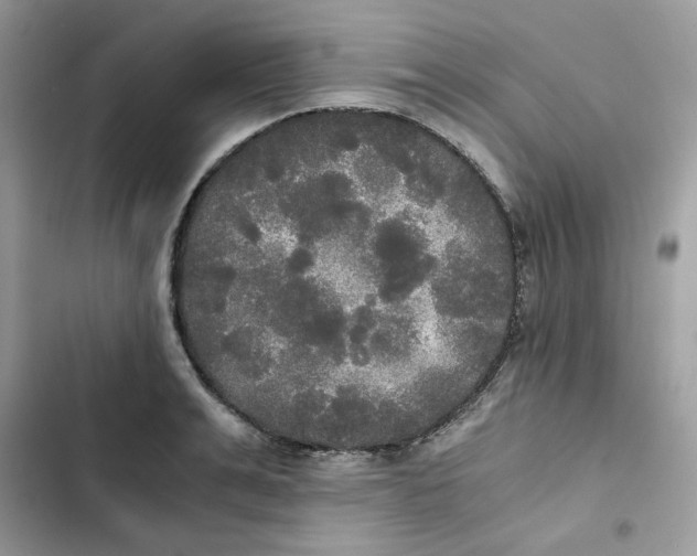 X0000101950991200808151249