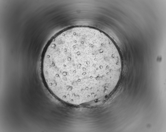 X0000101950992200808151249