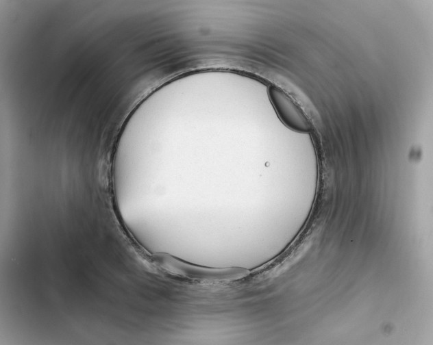 X0000101950993200808151249