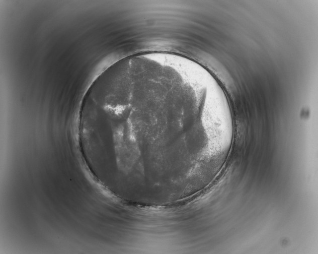 X0000101950994200808151249