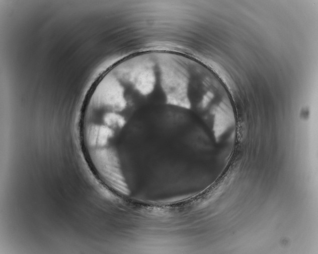 X0000101950995200808151249