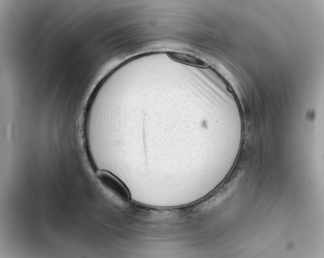 X0000101950997200808151249