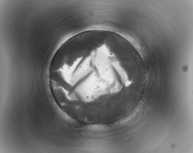 X0000101950998200808151249