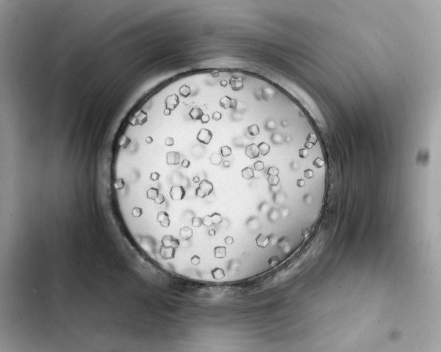 X0000101951000200808151249