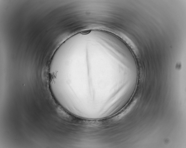 X0000101951001200808151249