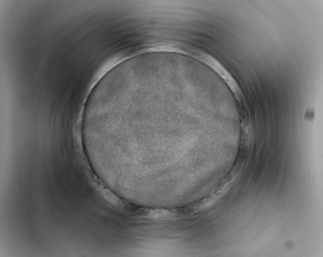 X0000101951002200808151249