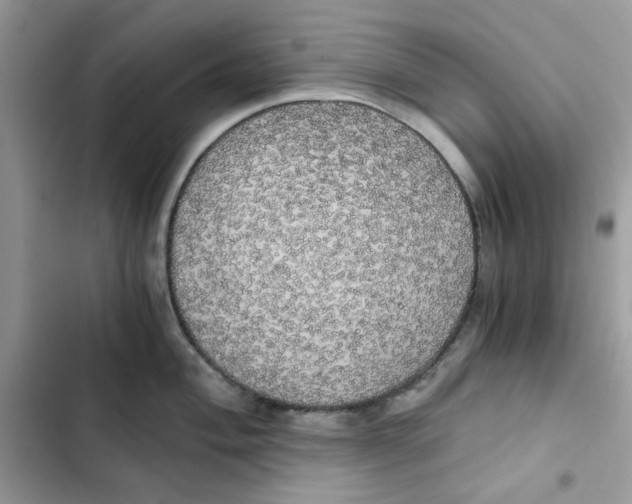 X0000101951004200808151249