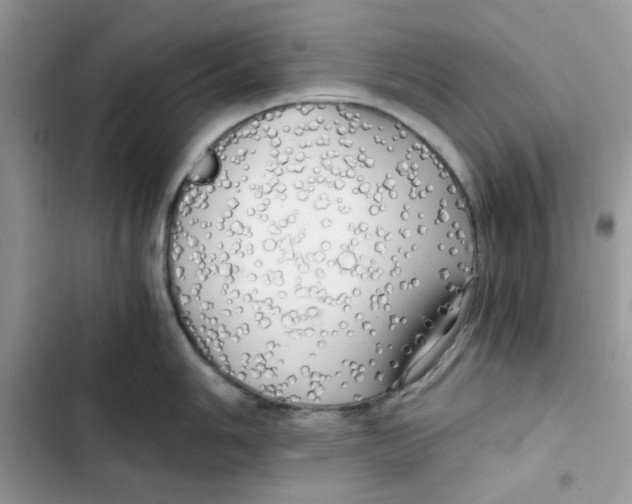 X0000101951006200808151248