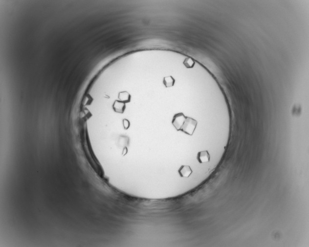 X0000101951008200808151248