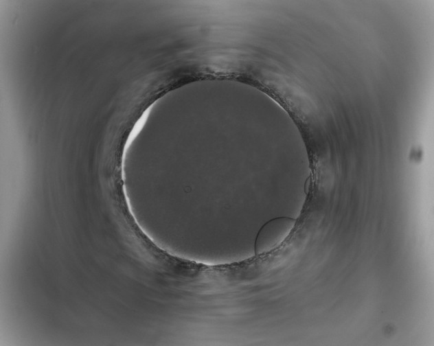 X0000101951009200808151248
