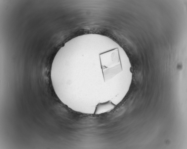 X0000101951010200808151248